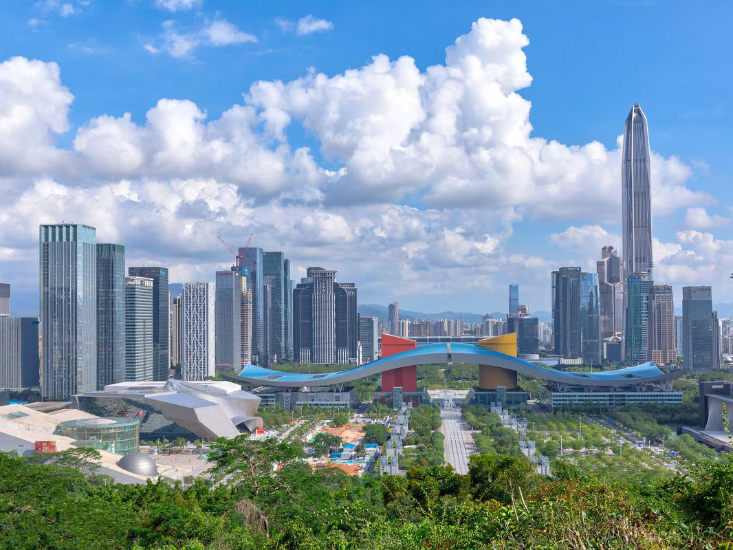 深圳市深水龍華水務有限公司